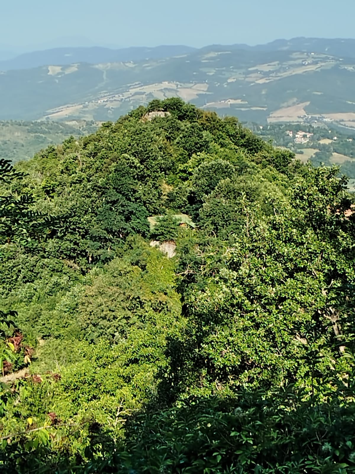 Il costone boscoso sopra Campolo su cui sorgono i ruderi della Torre Cavallina, visto dalla sovrastante Torre del Poggio.