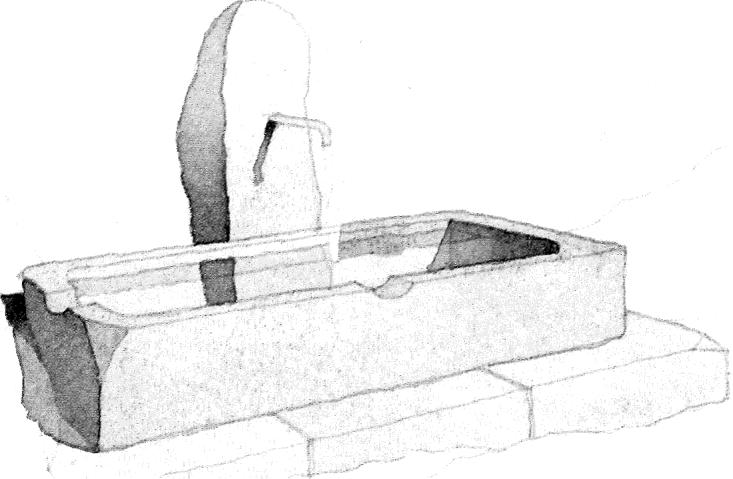 Cerreta &ndash; illustrazione ad acquerello di Bill Homes