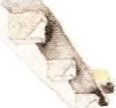 Laca – altra veduta