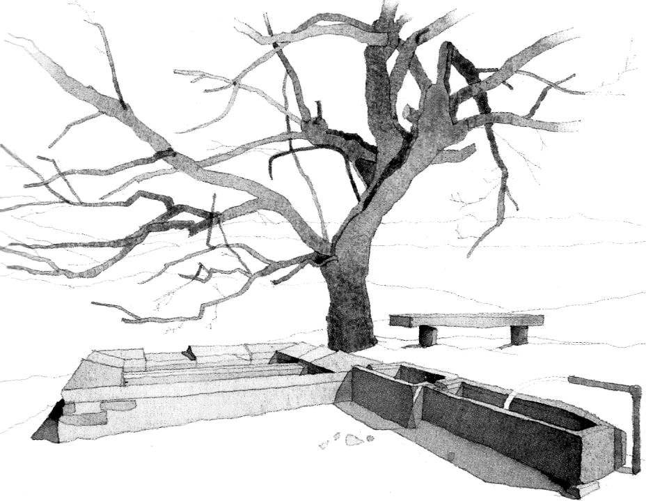 La Scola (Fontanelle) &ndash; illustrazione ad acquerello di Bill Homes