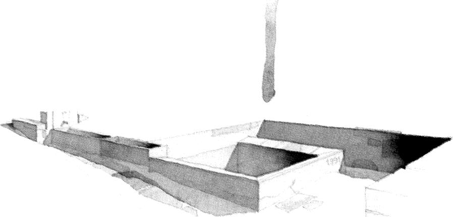 Serraiola &ndash; illustrazione ad acquerello di Bill Homes