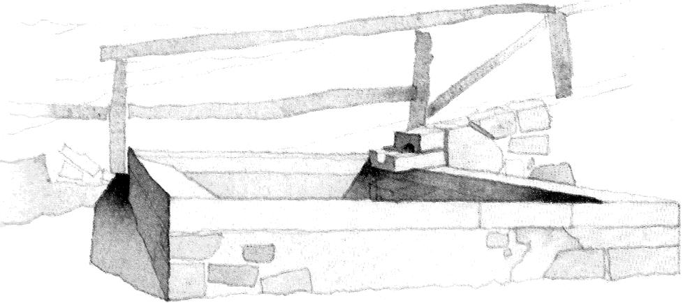 Sterpi (Spedalino) &ndash; illustrazione ad acquerello di Bill Homes